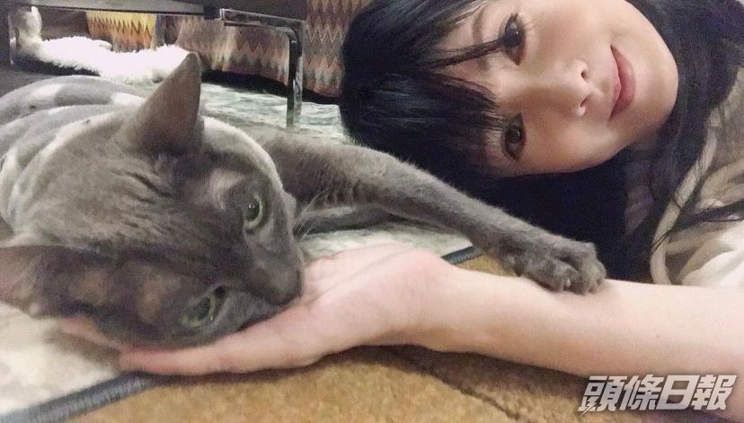 周慧敏去咗探望黃劍文啲貓。